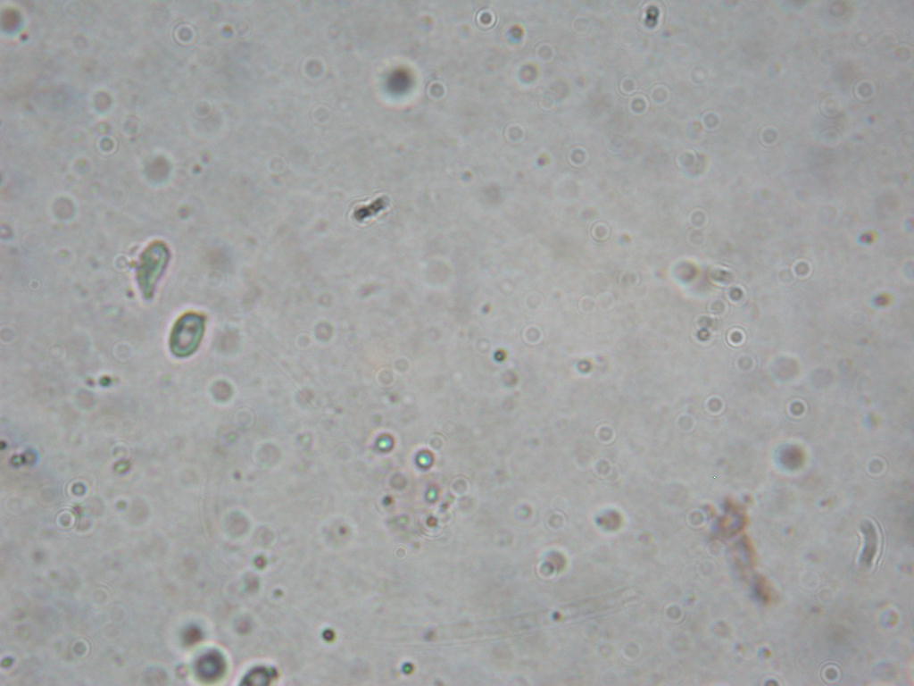 Ci (ri)provo con questo... Quizzzzzzzz